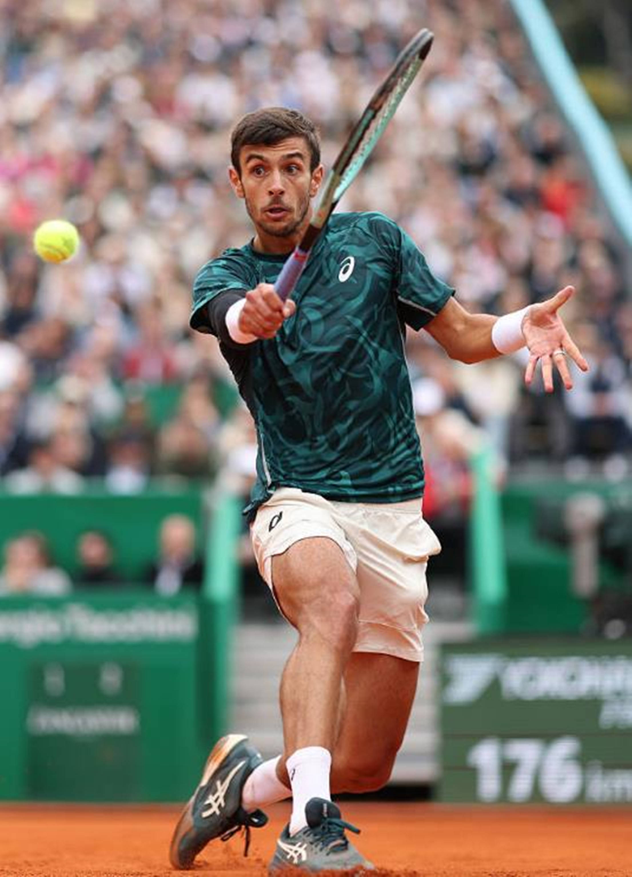 冬会上得到 冬会上得到