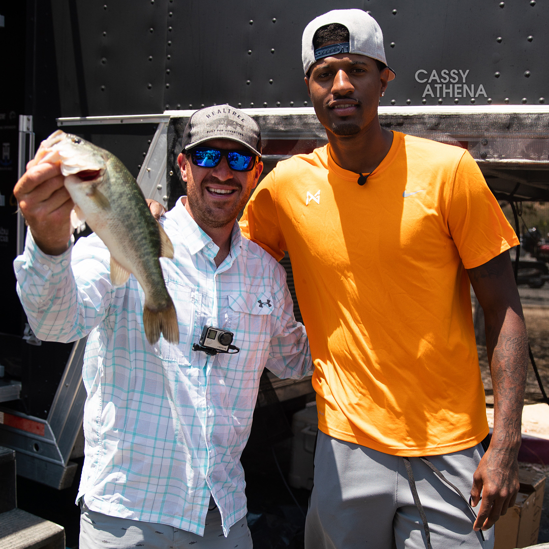 案例分析 案例分析